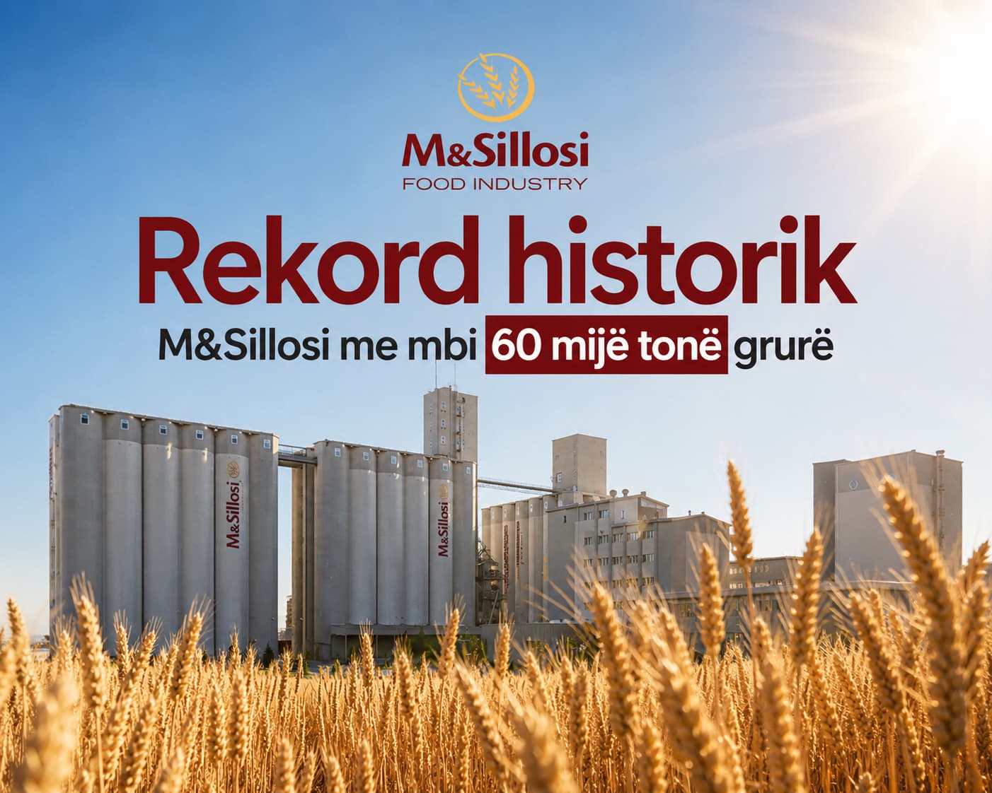 Super rekordi i M&Sillosit, mbi 60 mijë tonë grurë i grumbulluar (VIDEO)