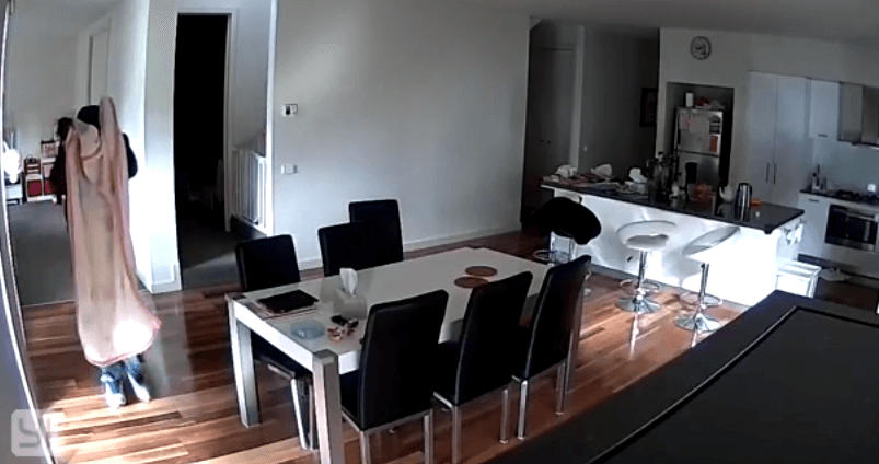 Hajduti çkyq sistemin e kamerave, fillon aksionin në një shtëpi (VIDEO)