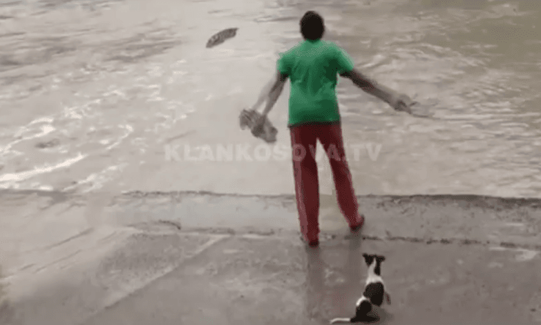 Tremb krokodilin me sandale (VIDEO)