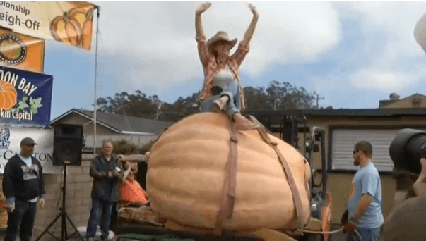 Gruaja fiton garën pasi kultivoi kungullin prej 866 kilogramësh