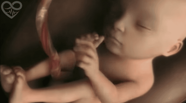 Nëntë muaj të shtatzënisë në katër minuta (VIDEO)
