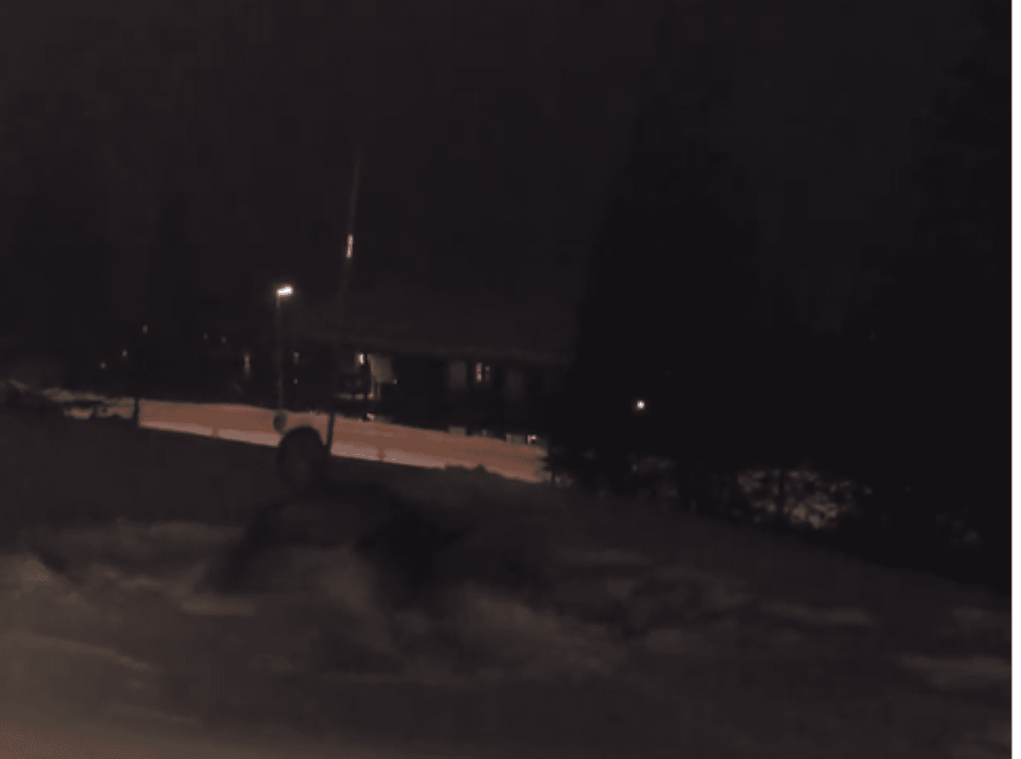 Ibra bën “engjëllin prej bore” (VIDEO)
