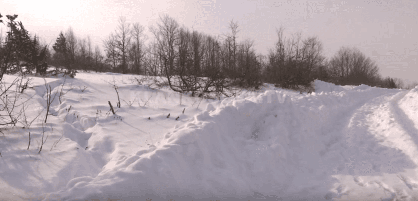 Herticë, vdes punëtori në borë (VIDEO)