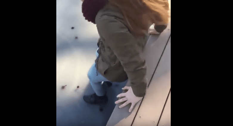 Mos luani mbi akull, ja çfarë mund t’ju ndodh (VIDEO)