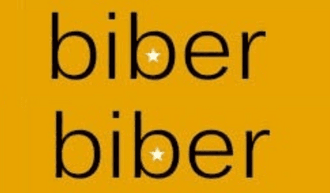 Hapet konkursi i dytë rajonal për tregim të shkurtër letrar - Biber