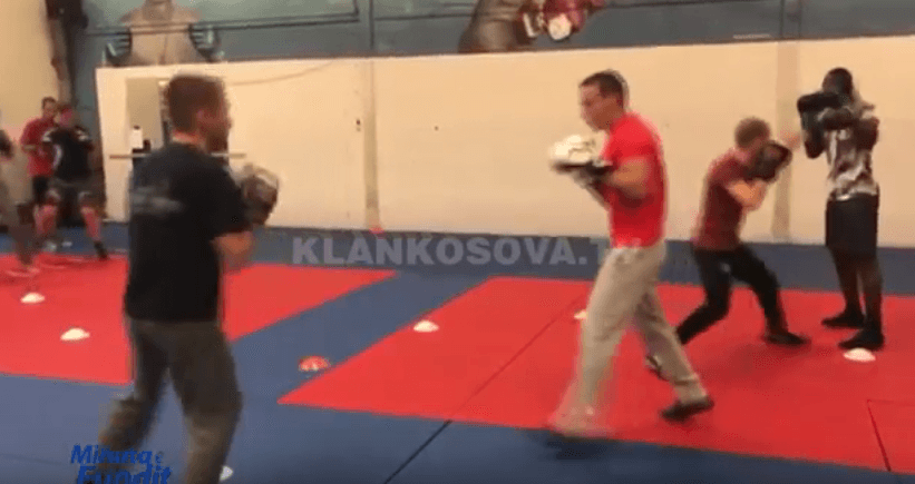 Arsyet se pse po ikin boksierët nga Kosova (VIDEO)