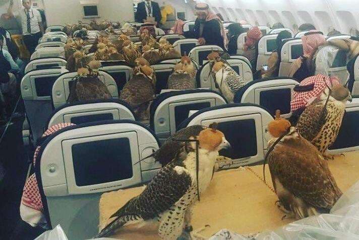 Princi i Arabisë, skifterëve: Shijojeni avionin (FOTO)