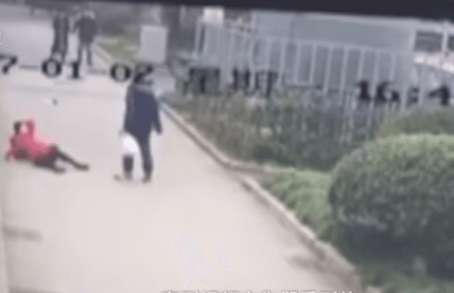 Studenti rrah shoqen e fakultetit sepse është më e mençur se ai(VIDEO)