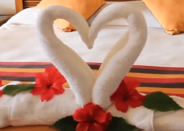 Mënyrë interesante për të bërë mjellmat nga peshqirët (VIDEO)