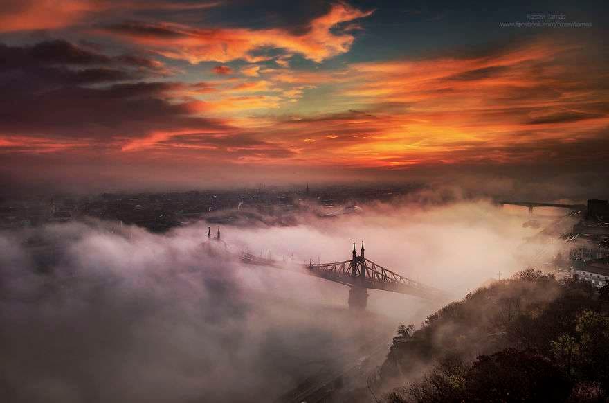 Katër vjet për ta fotografuar këtë moment (FOTO)