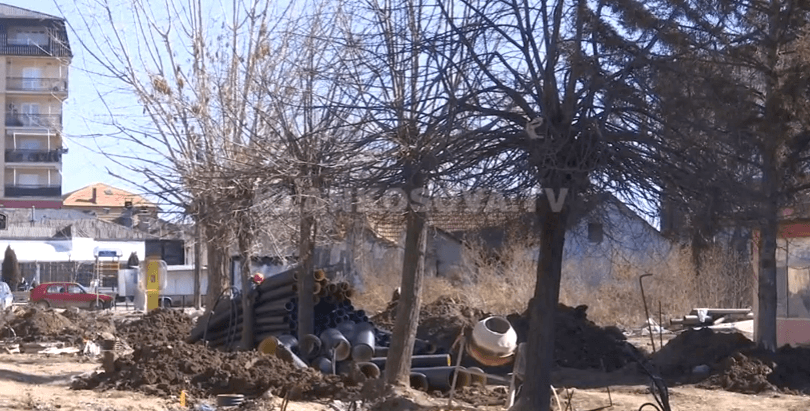Lipjani pyet qytetarët për largimin e pemëve të vjetra (VIDEO)
