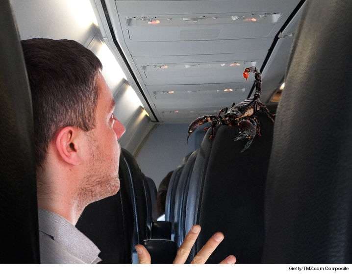 Akrepi në avion, lëndohet një pasagjer
