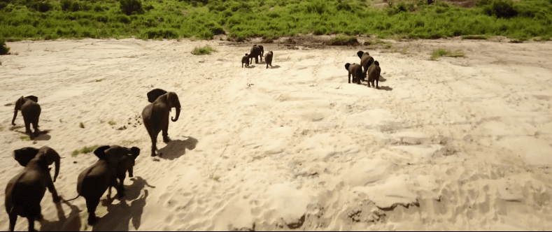 Pamje mahnitëse të Afrikës së Jugut të kapura nga droni (VIDEO)