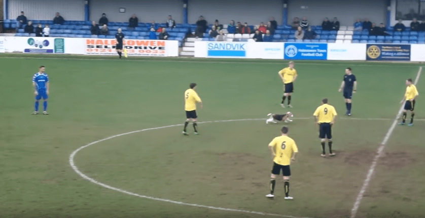 Kur futbollit ia merr vëmendjen një qen (VIDEO)