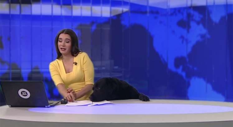 Qeni i futet në studio moderatores televizive (VIDEO)
