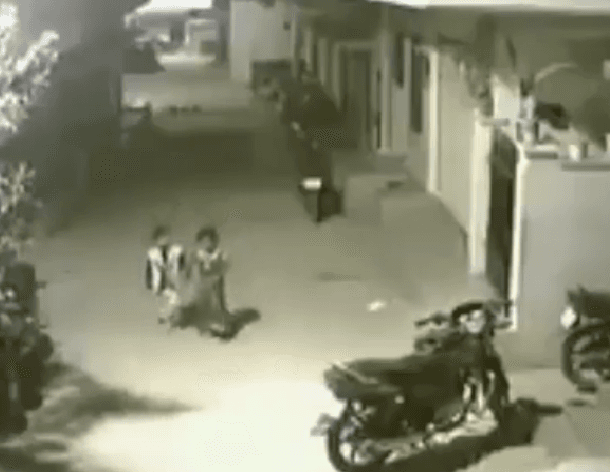 Fëmijë më të guximshëm zor që keni parë (VIDEO)