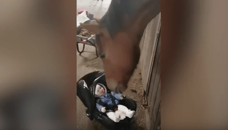 Kali qetëson foshnjën, shikojeni reagimin! (VIDEO)