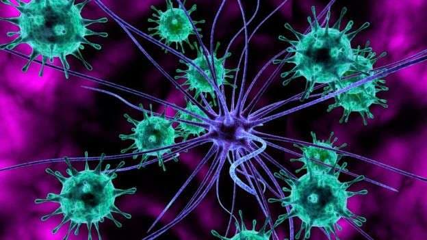 Virusi Zika mund të përdoret si tretman për kancerin në tru