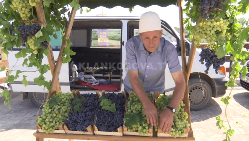 Vreshtarët i pengon importimi i rrushit (VIDEO)