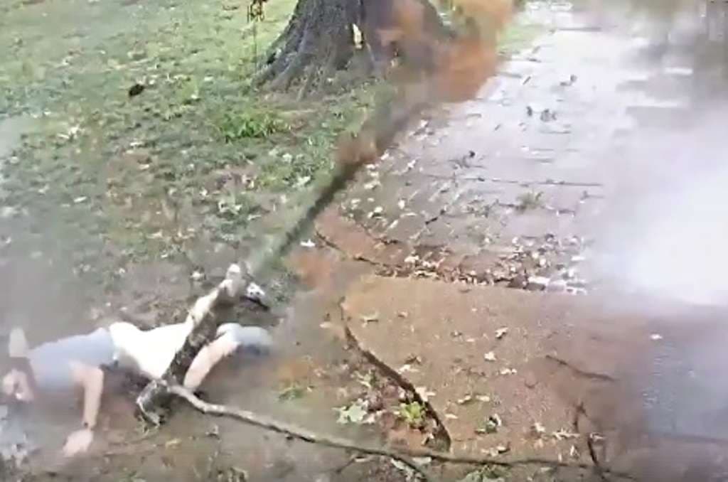 A është ky njeriu më fatlum në botë (VIDEO)