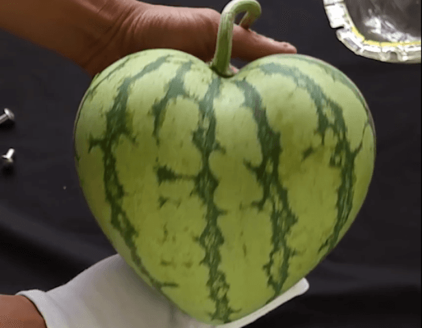 Fruta në forma të ndryshme (VIDEO)