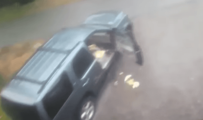 Ngasësi gjen vizitorë të pazakontë në veturën e tij (VIDEO)