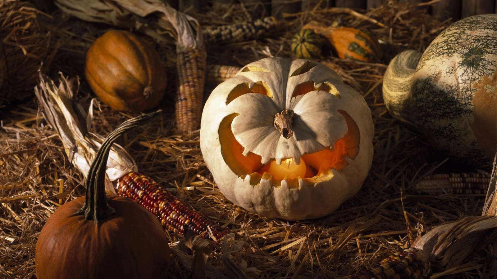 Festa e Halloween-it, origjina e saj, legjendat dhe mitet