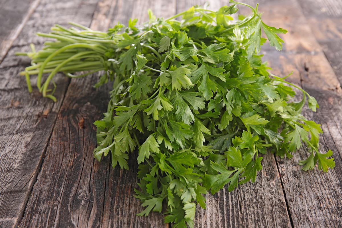 Çaji me majdanoz që pastron veshkat tuaja