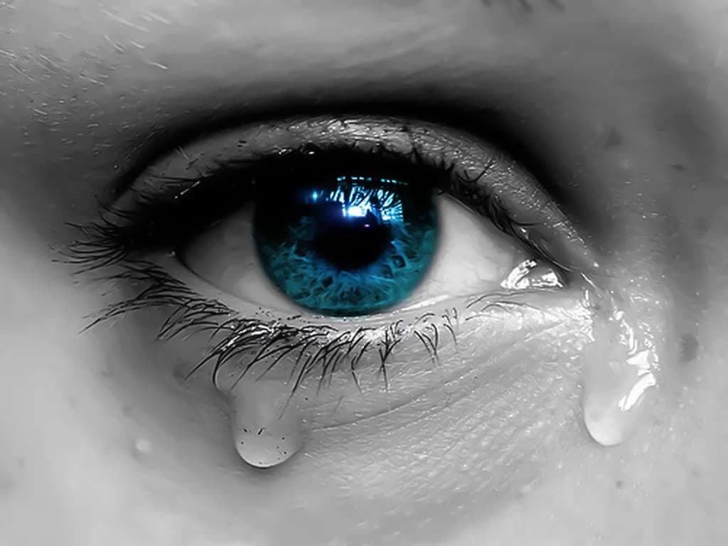 Lotët janë shenjë e stabilitetit emocional