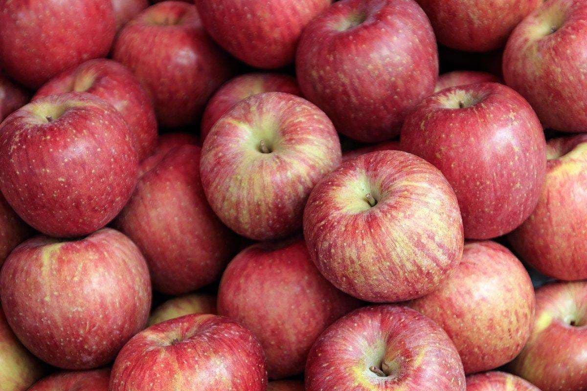 Hani këto fruta t’i mbani mushkëritë të reja