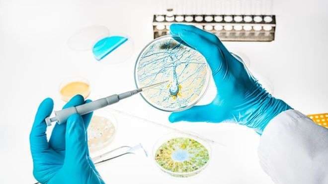 Gjiganti farmaceutik ndalon studimet për Alzheimer