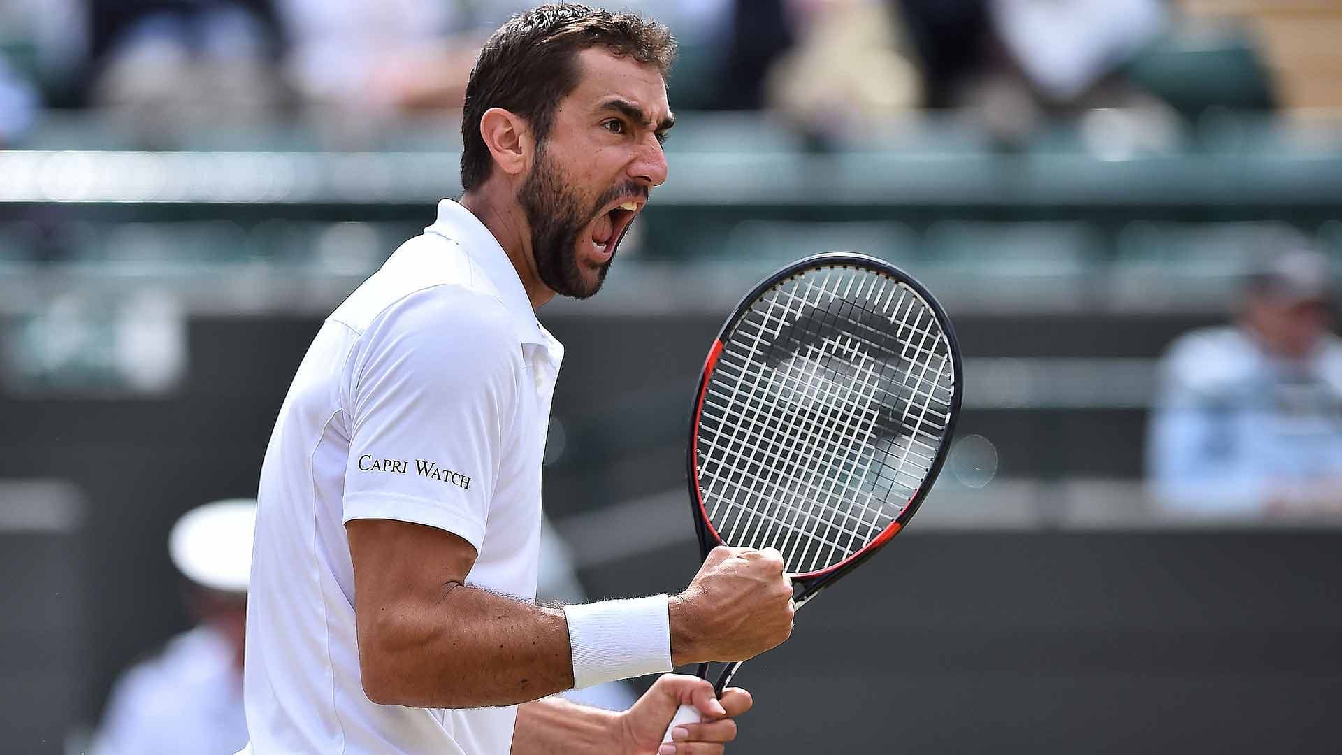 Çiliq në finale të Australian Open