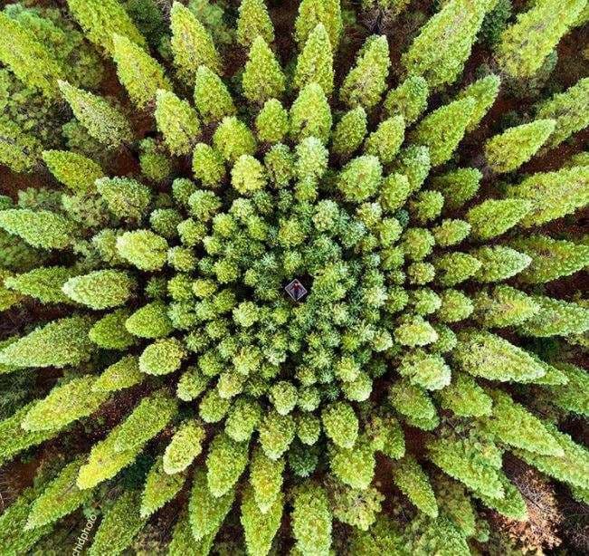 Nuk ka asgjë të përsosur, por këto fotografi dëshmojnë të kundërtën
