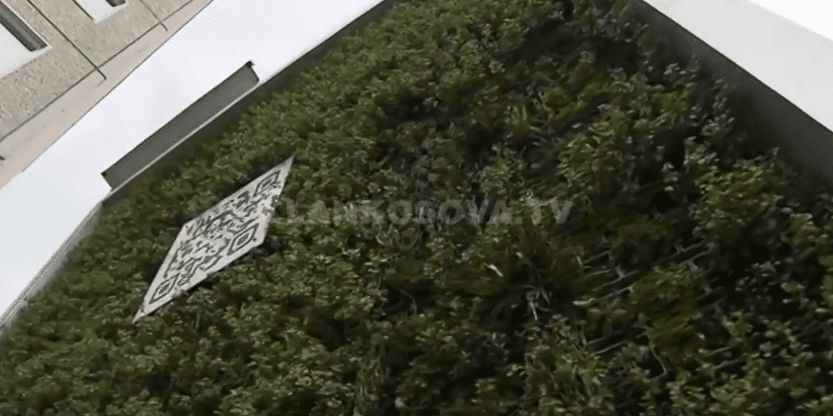 Prishtinë, komuna do të vendosë pemë solare (VIDEO)