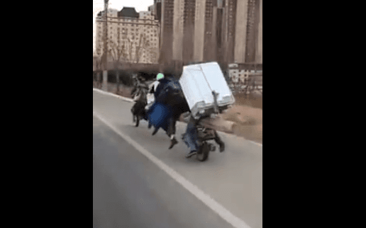 Shpikja më e re e kinezëve, skuter për shtatë persona! (VIDEO)