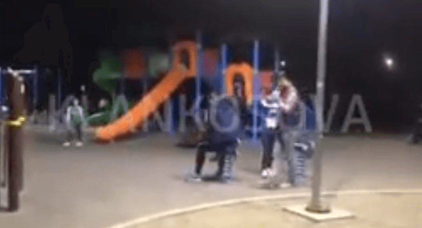 Lodrat e fëmijëve në parkun e qytetit shfrytëzohen nga të rriturit (VIDEO)