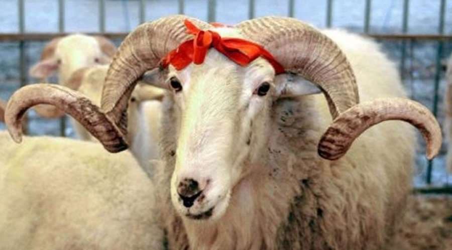 Kurban Bajrami, cilat ushqime nuk duhet të mungojnë në tavolinën tuaj