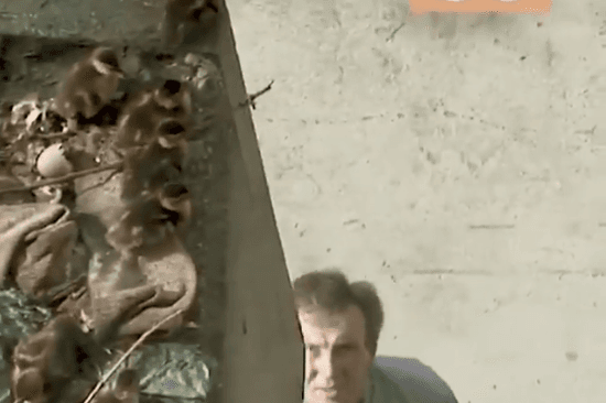 Besoni akoma në njerëz të mirë! (VIDEO)