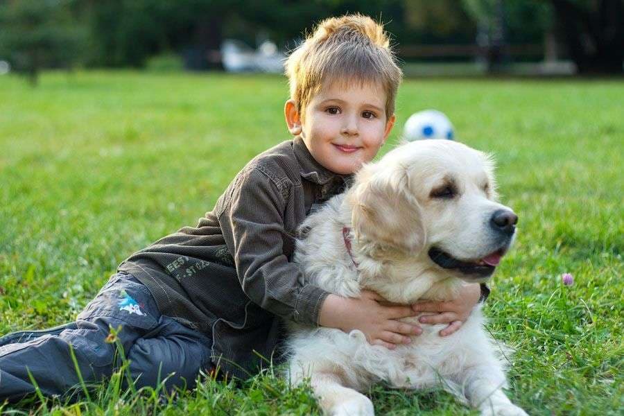 Terapia me qentë ndihmon fëmijët me vështirësi në të folur