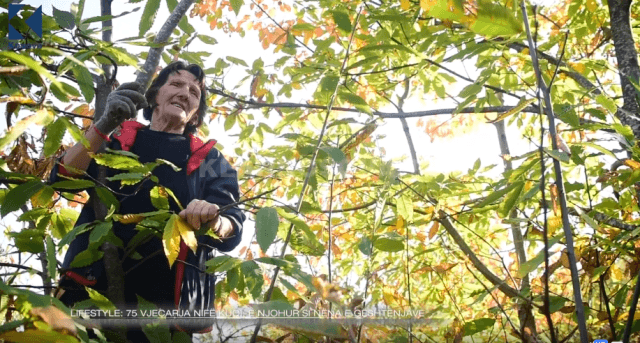 75 vjeçarja Nife Kuqi, nëna e gështenjave të Dukagjinit (VIDEO)