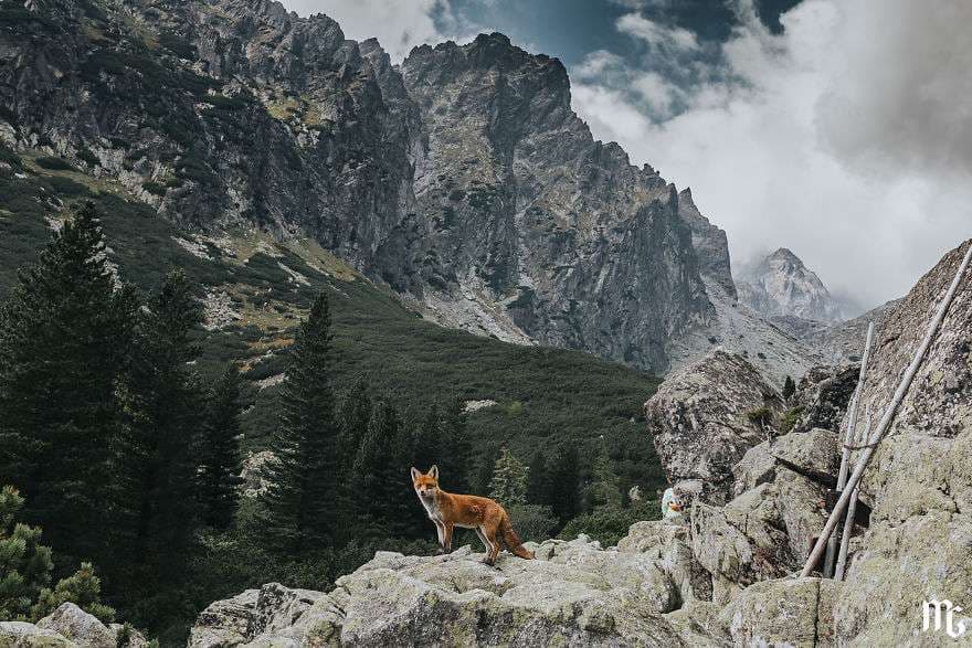 Malet e Sllovakisë ju lënë pa frymë (FOTO)