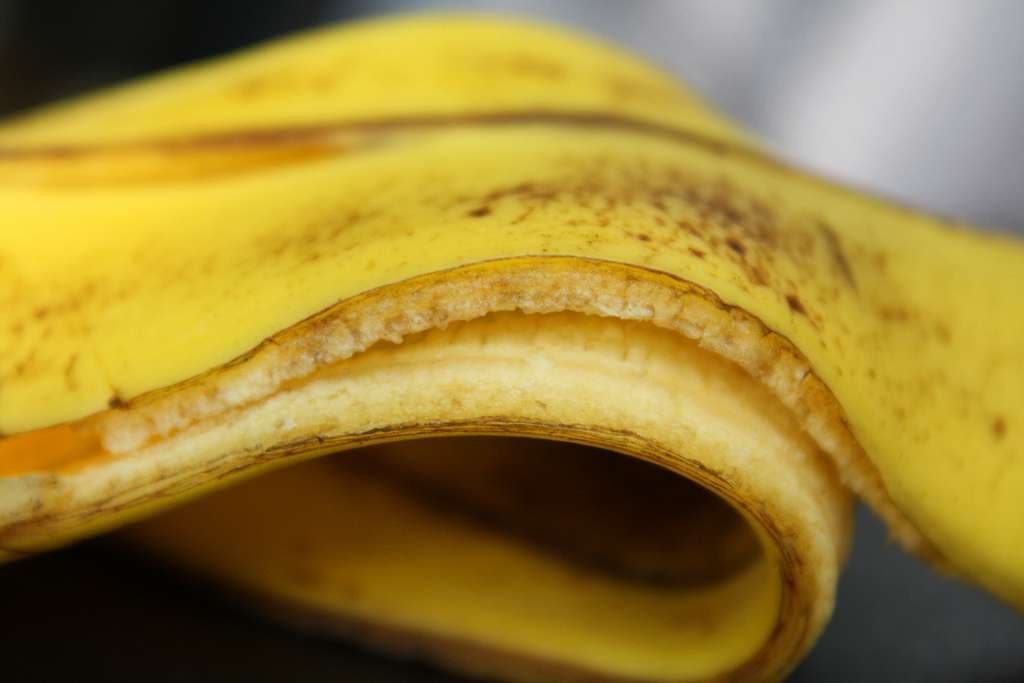 Disa mënyra të pazakonta për t’i shfrytëzuar lëvoret e bananeve