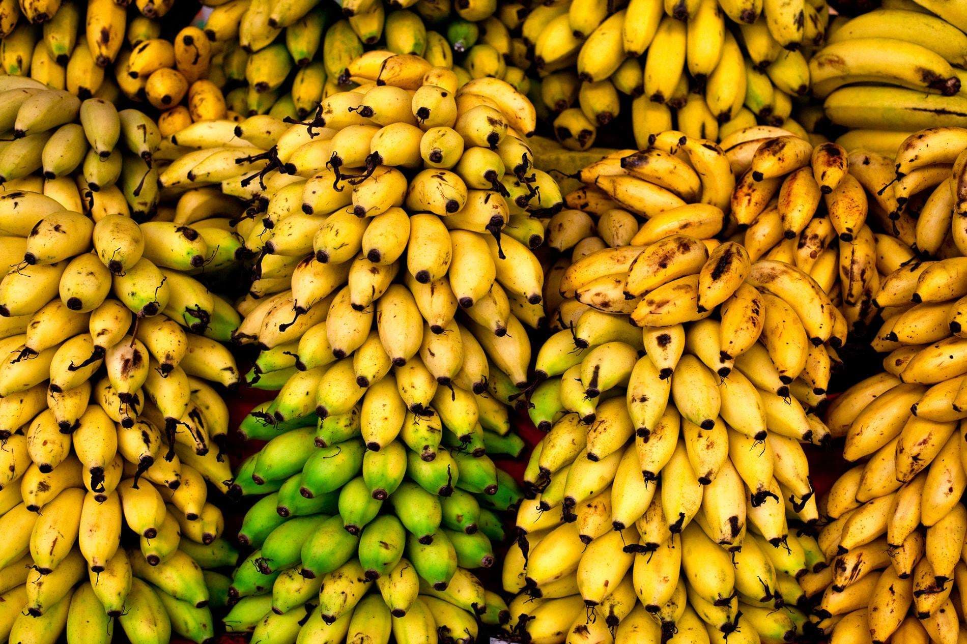 Bananet ndihmojnë tretjen në organizëm
