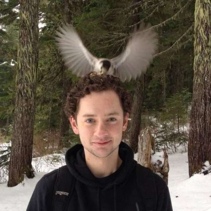 Fotot më qesharake që janë shkrepur në momentin e duhur