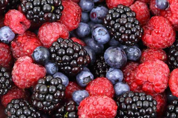 Vetitë shëndetësore të frutave të pyllit