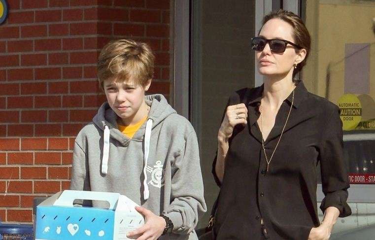 Angelina Jolie blen kafshë për fëmijën e saj