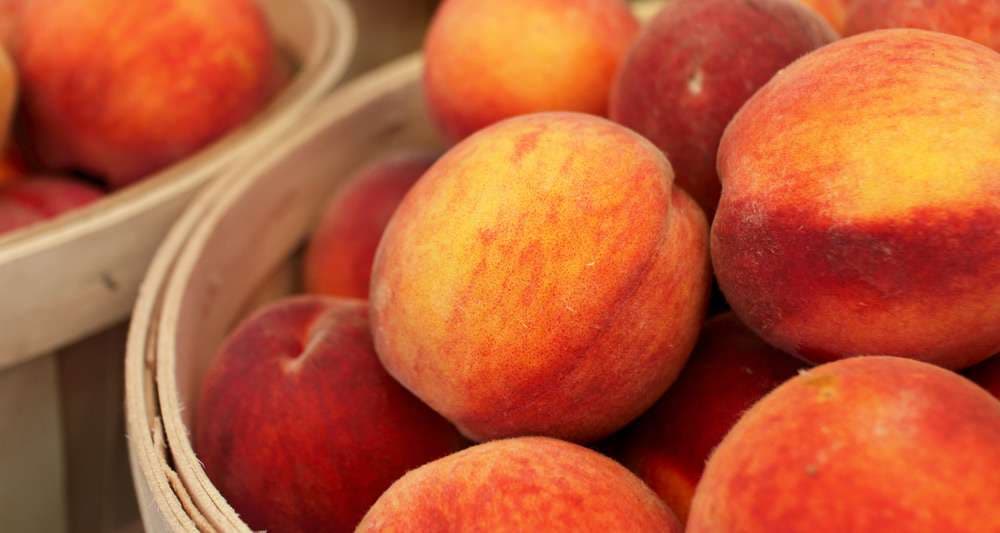 Pjeshka ndihmon në forcimin e dhëmbëve dhe kockave