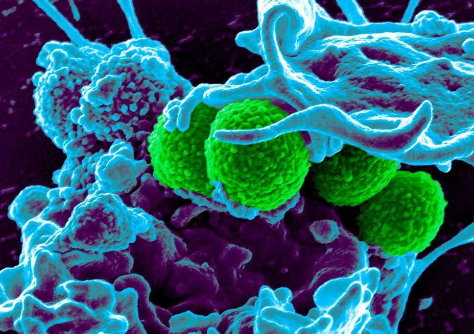 OBSH: Koha e antibiotikëve ekzistues po mbaron