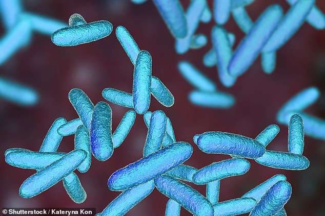 Fushata kundër përdorimit të tepruar të antibiotikëve mund të ketë pasoja katastrofike