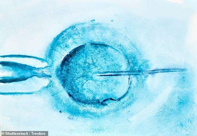 Shtatzënia përmes IVF me më shumë gjasa për komplikime
